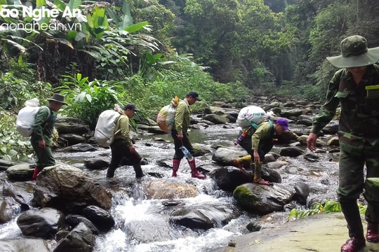 Tăng cường công tác quản lý, bảo vệ và phát triển rừng