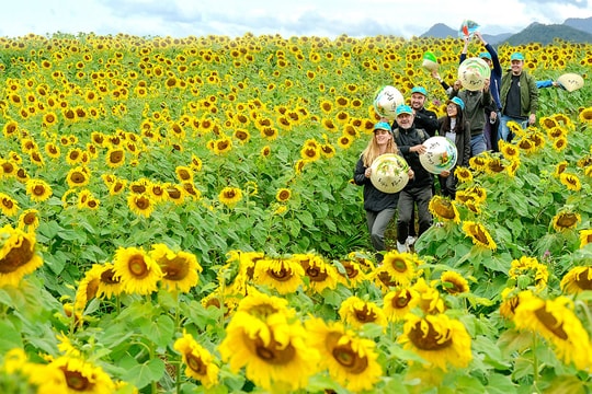 Vì sao khách du lịch quốc tế chưa mặn mà với Nghệ An?