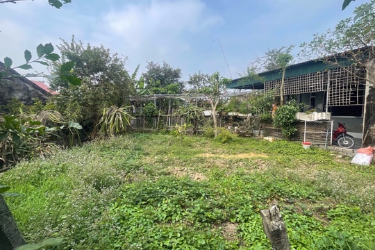 Nhiều bất thường trong vụ mất đất hương hỏa tại huyện Yên Thành