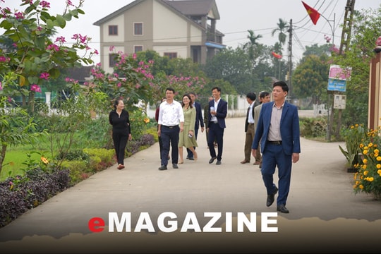 Sức sống mới ở làng Phan