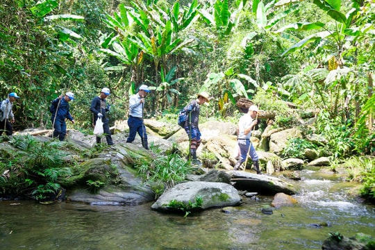 Khảo sát xây dựng, phát triển sản phẩm du lịch miền Tây Nghệ An