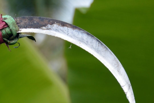 Người đàn ông ở Tân Kỳ bị chém tử vong trong đêm