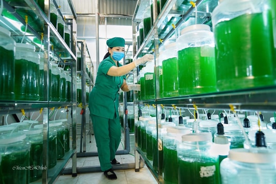 Quỳnh Lưu tạo điều kiện thuận lợi trong lĩnh vực thu hút đầu tư