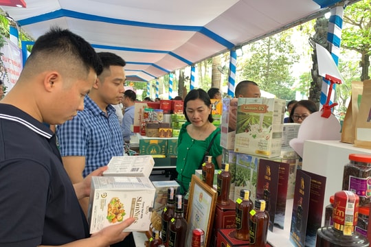 Thành phố Hồ Chí Minh hợp tác hỗ trợ Nghệ An phát triển các doanh nghiệp khởi nghiệp và đổi mới sáng tạo