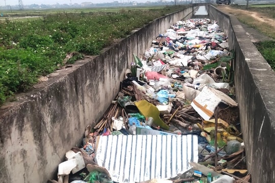 Xác động vật, rác thải 'bức tử' nhiều tuyến kênh thủy lợi ở Quỳnh Lưu