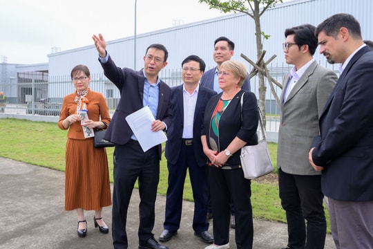 Cựu Tổng thống Chile thăm, làm việc tại các khu công nghiệp WHA và VSIP Nghệ An