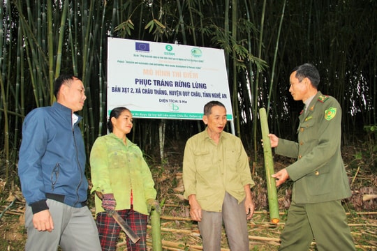 Đẩy mạnh xúc tiến, vận động viện trợ phi chính phủ nước ngoài