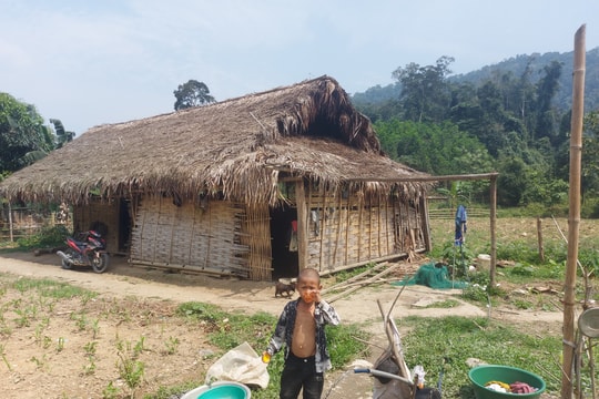 Người Đan Lai chật vật tìm kế sinh nhai ở Khe Nóng