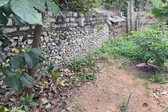 Vụ mất đất hương hỏa tại xã Văn Thành (Yên Thành): Lấn cả đất của gia đình người có công với cách mạng?