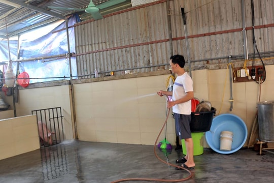 Nghệ An chưa có cơ sở giết mổ gia súc, gia cầm tập trung đúng quy chuẩn