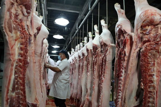 Giá lợn hơi liên tục giảm; Giá xăng, dầu trong nước dự báo tăng nhẹ vào kỳ điều hành ngày 3/4