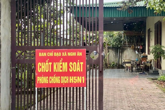 Thành phố Vinh tiêu hủy 2.500 con gia cầm nhiễm H5N1 