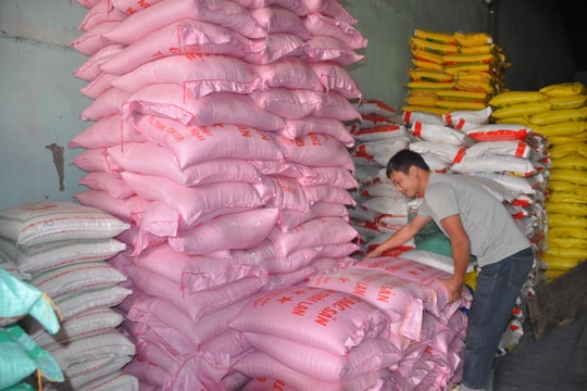 Giá thép giảm mạnh trên sàn giao dịch; Nhu cầu cao từ Trung Quốc, giá gạo tiếp tục tăng 100 đồng/kg