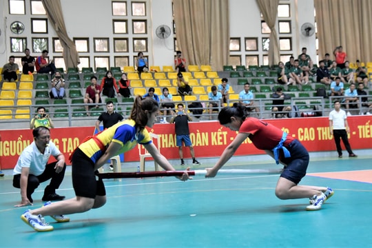 Gần 300 vận động viên tham gia giải vô địch đẩy gậy và kéo co toàn quốc