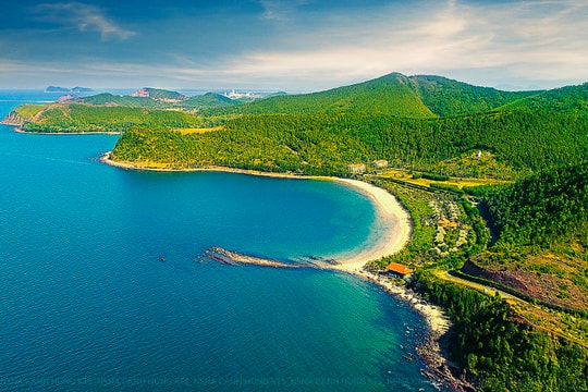 Nghệ An chuyển mục đích sử dụng hơn 25ha rừng để thực hiện 4 dự án quan trọng