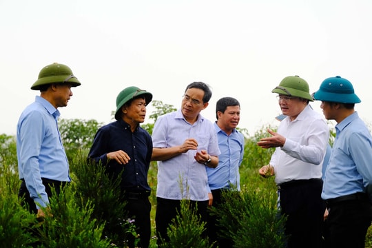 UBND tỉnh Nghệ An làm việc với UBND tỉnh Tuyên Quang về phát triển sản xuất nông, lâm nghiệp 