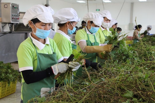 Nghệ An tháo gỡ khó khăn vướng mắc cho các doanh nghiệp, nhà đầu tư 