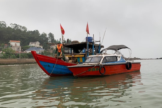 Bắt giữ 5 tàu cá vi phạm trong lĩnh vực thuỷ sản