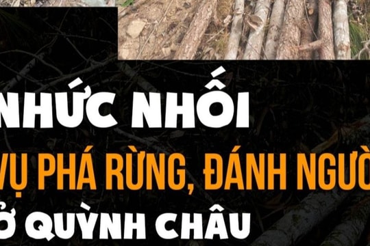 Quỳnh Lưu: Kiểm tra, xử lý thông tin xung quanh bài 'Làm rõ dấu hiệu tội phạm ở vụ phá rừng, đánh người tại Quỳnh Châu'