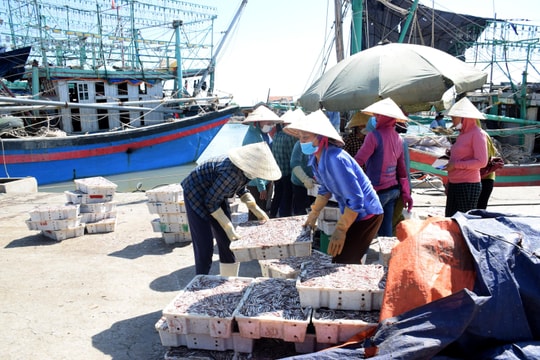 Thủ tướng chủ trì Hội nghị tháo gỡ khó khăn, thúc đẩy sản xuất, xuất khẩu lâm sản, thủy sản