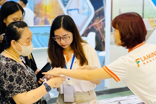 Vé máy bay cao ngất ngưởng, hàng chục nghìn tour giảm giá cầm chừng