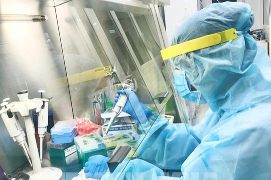 Bộ Y tế: Biến thể Omicron vẫn chiếm ưu thế, việc giải trình tự gen vẫn được thực hiện thường xuyên