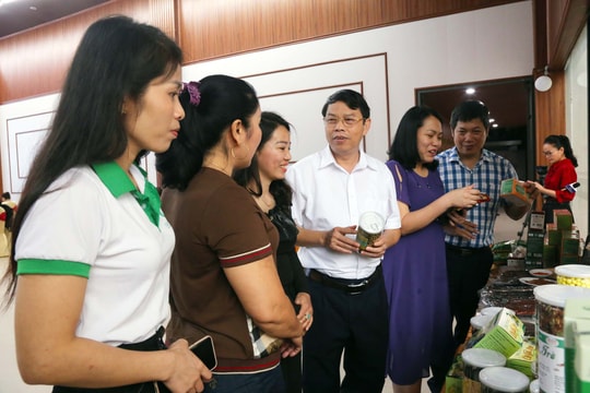 Kết nối tiêu thụ sản phẩm nông lâm thủy sản, sản phẩm OCOP tỉnh Nghệ An 