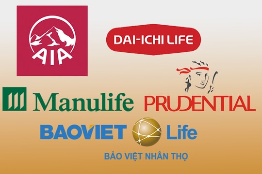 Bảo hiểm nhân thọ phân chia thị phần ra sao? 