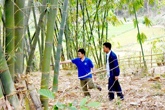 Trưởng bản vùng cao năng động, nói 'không' với đói nghèo