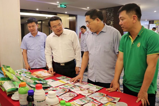 Nghệ An phấn đấu gieo trồng hơn 111 nghìn ha cây trồng vụ hè thu - mùa 2023 