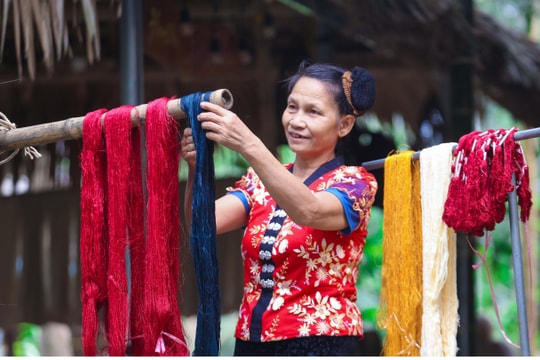 Cận cảnh nhuộm sợi vải từ cây rừng của phụ nữ Thái Nghệ An