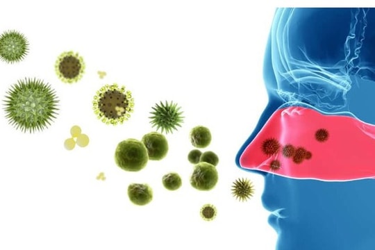 Nhận biết các bệnh lý nhiễm trùng đường hô hấp trên và cách phòng ngừa