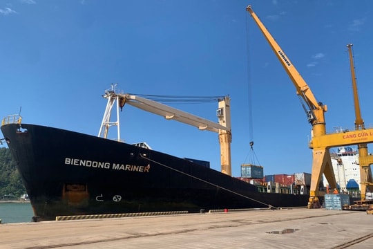 Tuyến vận tải container quốc tế qua cảng Cửa Lò bị ngừng do đâu?