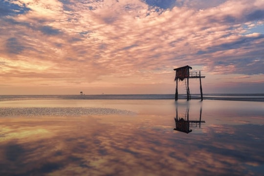 Một ngày vi vu 'ốc đảo xanh' Cần Giờ