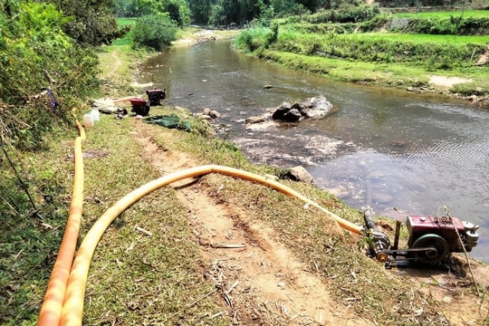 Dùng máy bơm dã chiến chống hạn cứu lúa ở Quế Phong 