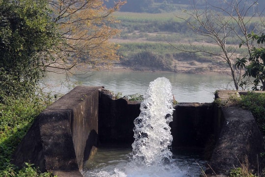 Các hồ chứa thuỷ điện tiếp tục tăng lưu lượng xả để 'cứu' lúa 