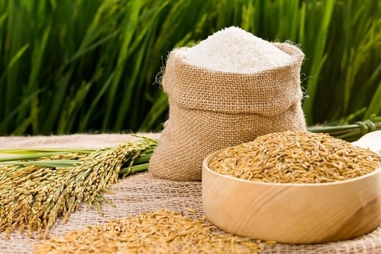 Giá thép trong nước giảm sâu phiên thứ ba liên tiếp; Giá lúa gạo ổn định, hút hàng