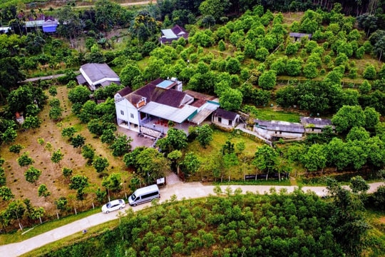 Vườn mẫu nông thôn mới, để không dừng lại ở mô hình