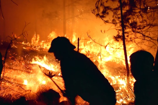 Nghệ An: Cảnh báo cháy rừng lên cấp cực kỳ nguy hiểm
