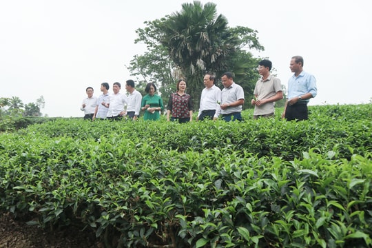 Nghệ An xây dựng và nhân rộng trên 400 mô hình sản xuất, kinh doanh an toàn 