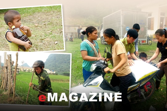 Trăn trở cùng Bá Hạ