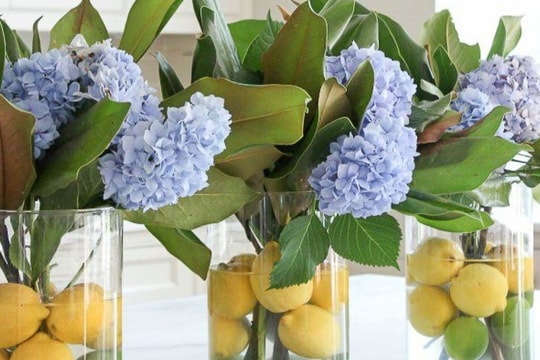 Ý tưởng trang trí phòng cho mùa hè mát dịu