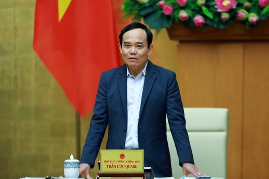 Thành lập Ban Chỉ đạo xây dựng và quản lý vị trí việc làm trong cơ quan, đơn vị sự nghiệp công lập