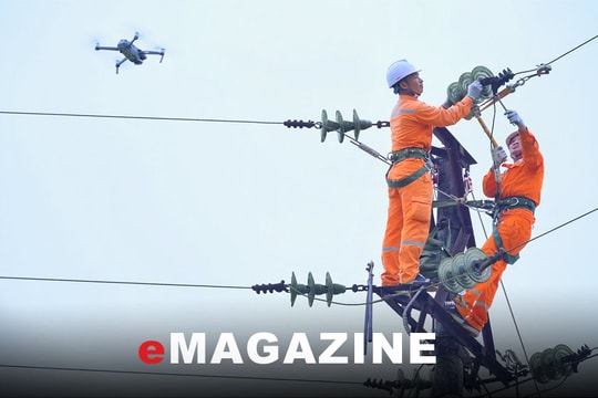 Công ty Điện lực Nghệ An: Đẩy mạnh chuyển đổi số, đem lại nhiều tiện ích cho khách hàng