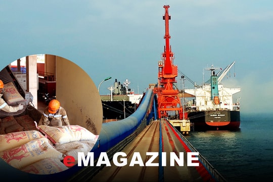 Công ty cổ phần Xi măng Sông Lam: Tăng cường xuất khẩu, chinh phục thị trường nội địa