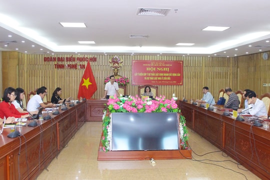 Đoàn đại biểu Quốc hội tỉnh lấy ý kiến góp ý vào dự thảo Luật Kinh doanh bất động sản (sửa đổi) 