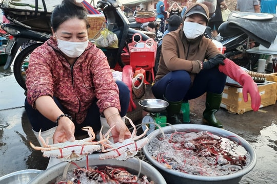 Các chợ hải sản ở Cửa Lò nhộn nhịp đón du khách