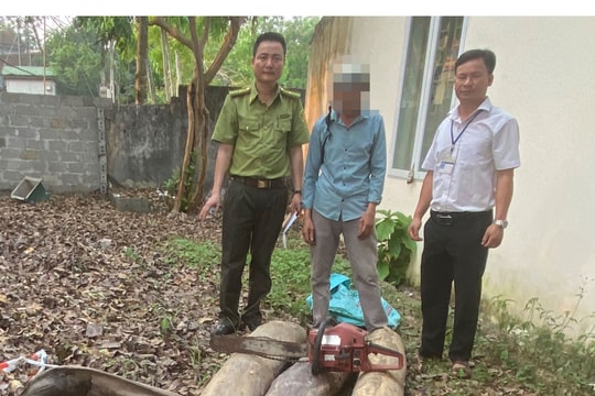 Đối tượng phá rừng trên núi Giăng Màn khai gì?