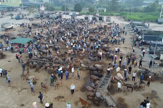 Ai về chợ Ú Đại Sơn...