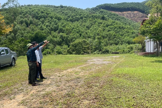 Vùng rừng bị chặt phá ở Thanh Chương thuộc sự quản lý của chủ biệt thự xây dựng trái phép